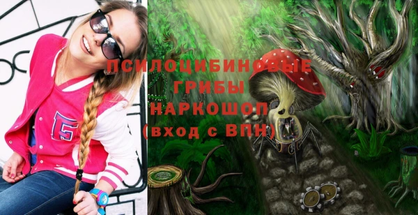 a pvp Алексеевка