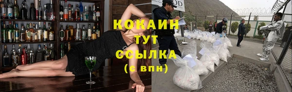 молекула духа Алзамай