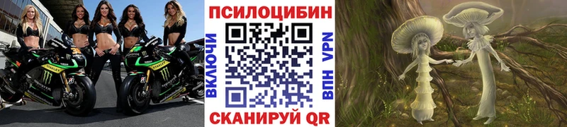 блэк спрут   купить закладку  Лихославль  Псилоцибиновые грибы Cubensis 